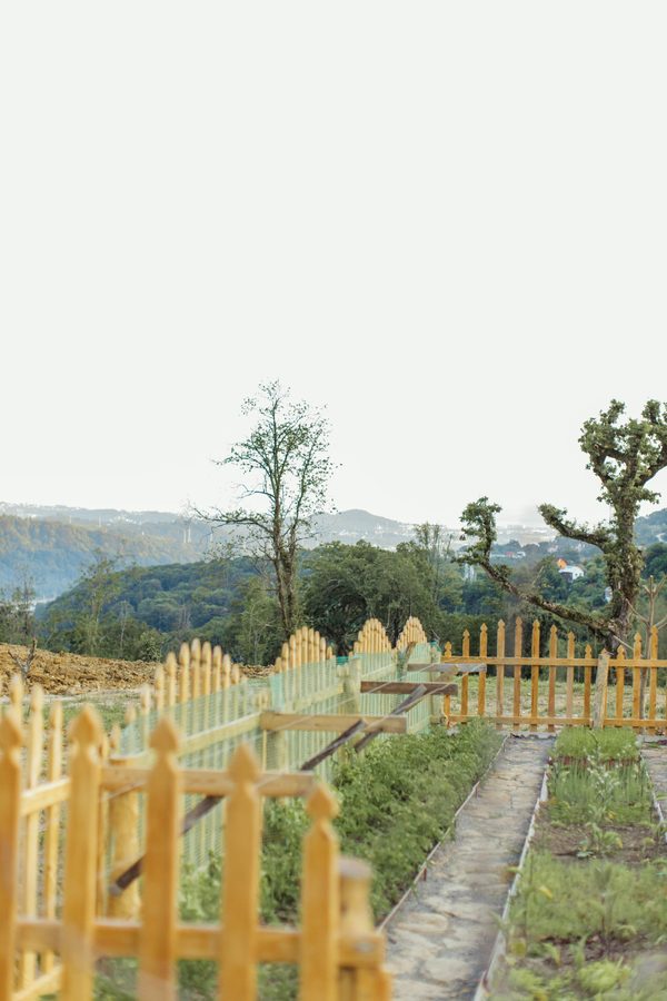 Top avantages de la ganivelle châtaignier pour une clôture écologique